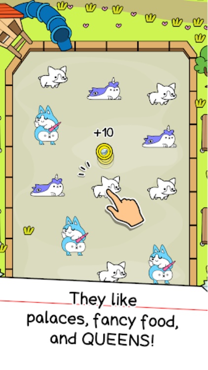 Corgi Evolution: Shiba Dogs