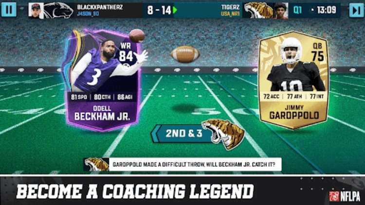 Football Head Coach 24 NFL PA