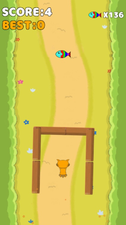 Running Cat
