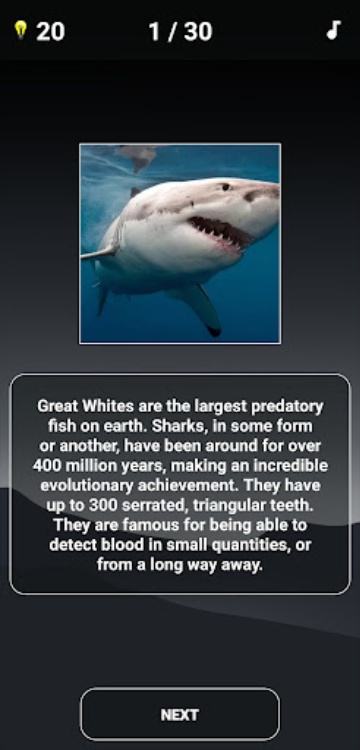 Animal Quiz: Guess the Animal