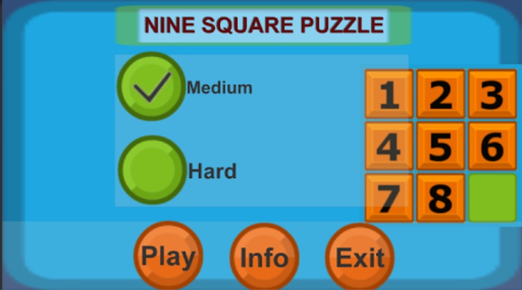 NINE SQUARE PUZZLE