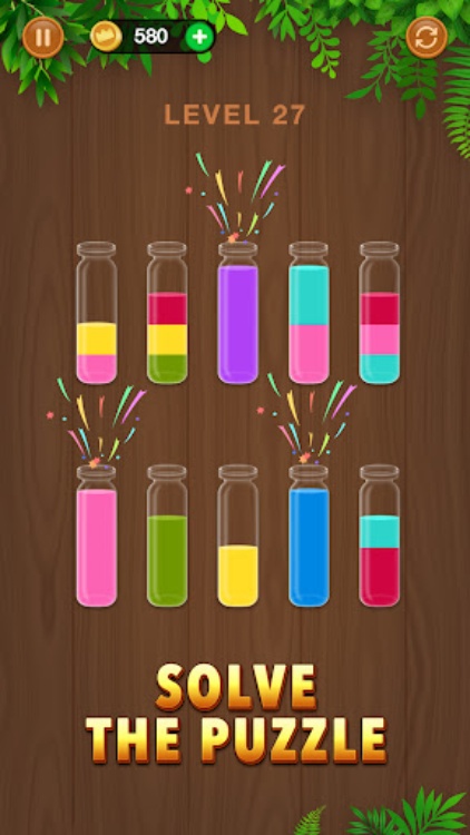 Sort Em All  Water Puzzle