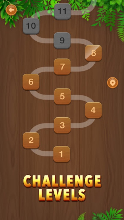 Sort Em All  Water Puzzle