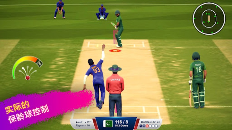 板球  世界冠军