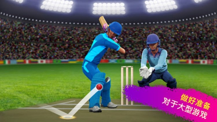 板球  世界冠军