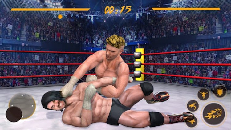 Wrestling Ring Fighting Games