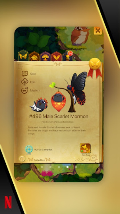 NETFLIX 彩翼：蝴蝶