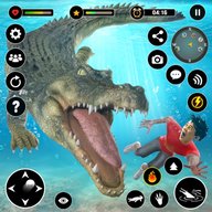 Crocodile Games  Animal Games