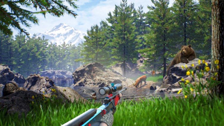 狩猎 丛林 野 动物