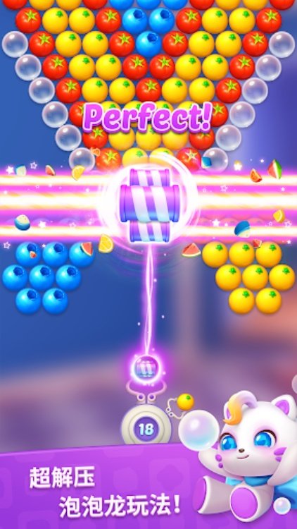 Master Chef in the Kitchen