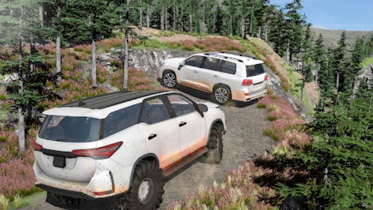 Fortuner Offroad Driving 4x4