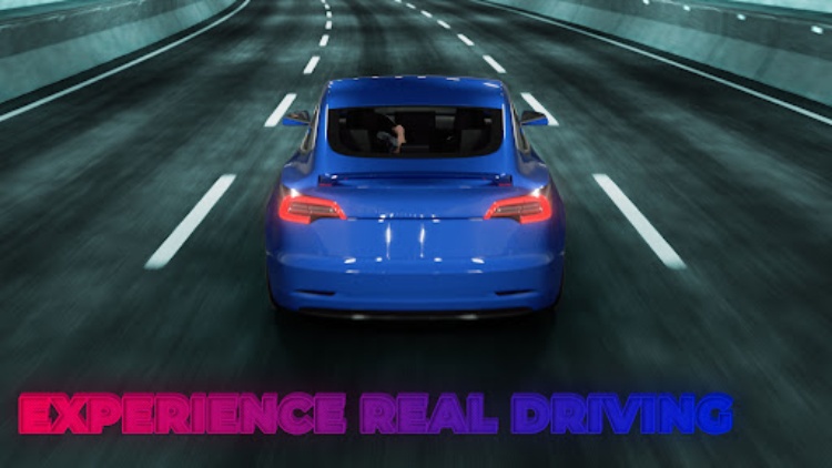 Highway Multiplayer Police2023