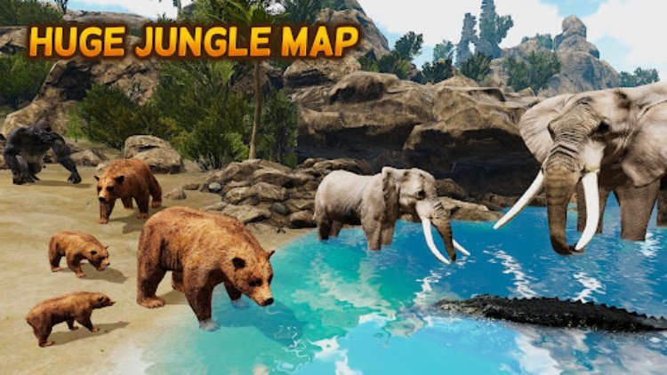 The Bear  Animal Simulator