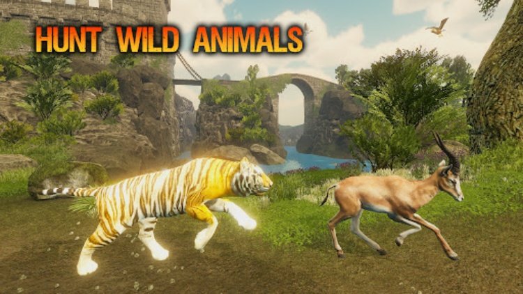 The Tiger  Animal Simulator
