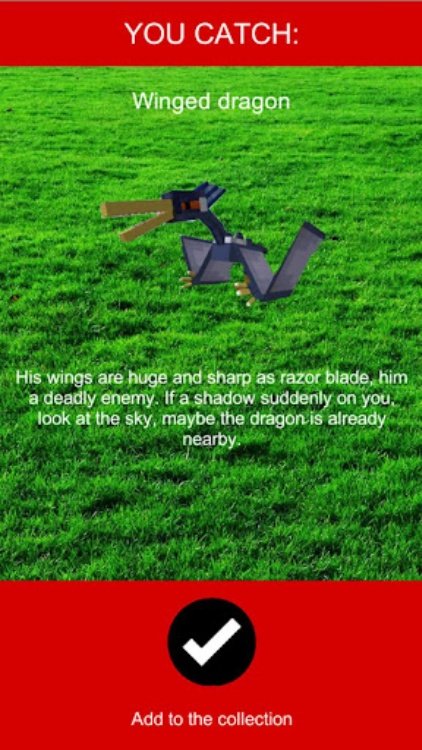 Catch Pocket Dragons