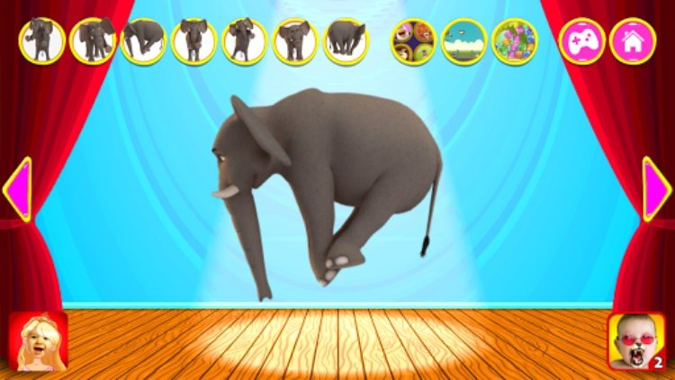 谈的大象国王红色