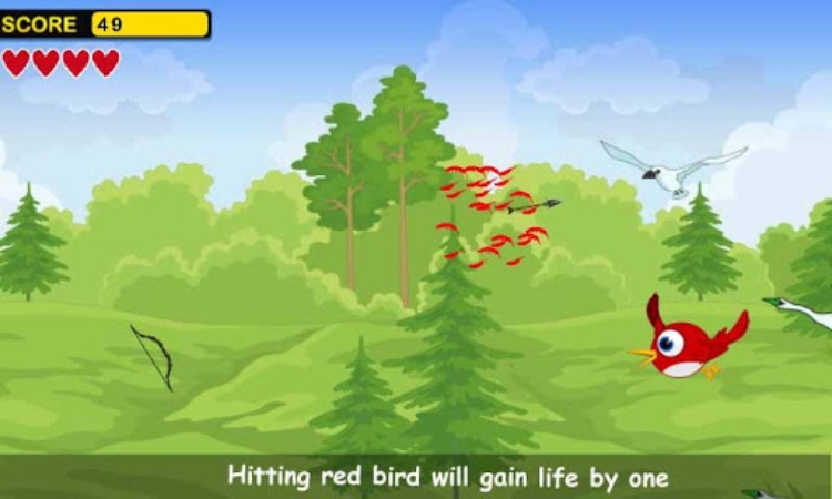 Birds hunting