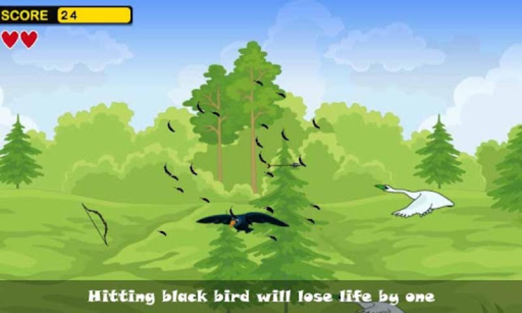 Birds hunting