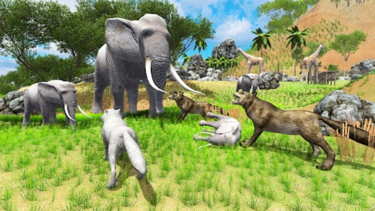 Wolf Games 3D Animal Simulator