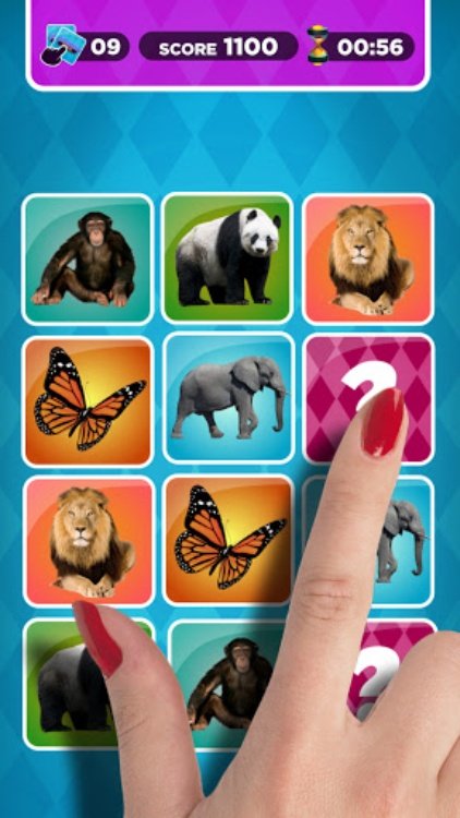 记忆训练师。大脑训练师。以您的语言提供。