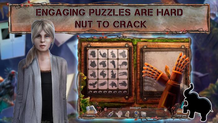 0.jpg