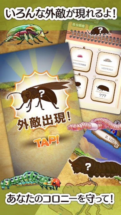 アリの巣コロニー 放置観察育成ゲーム
