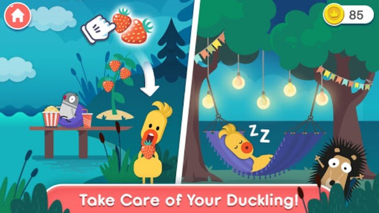 Duck Story