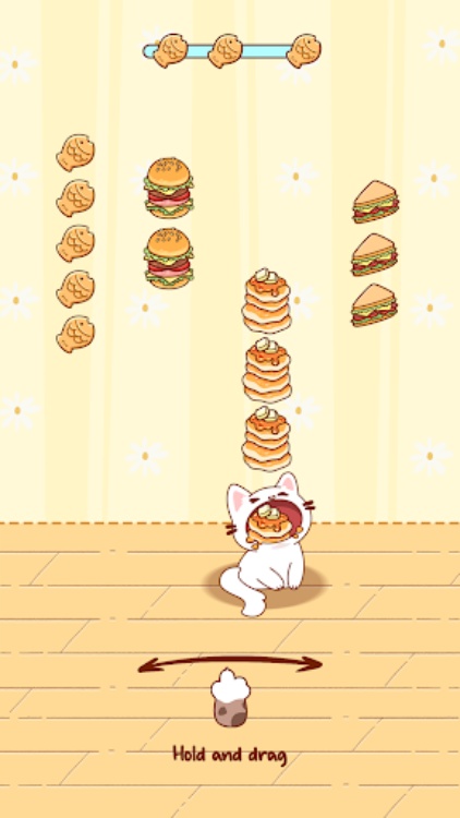 Cat World Music