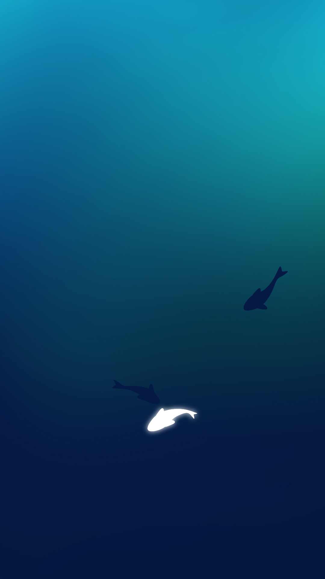 u84ddu6e56u4e4bu9c7c