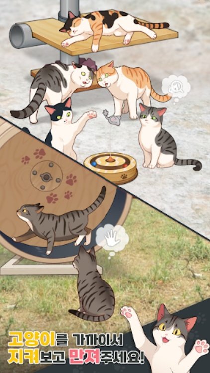 haha ha : 양어장 고양이