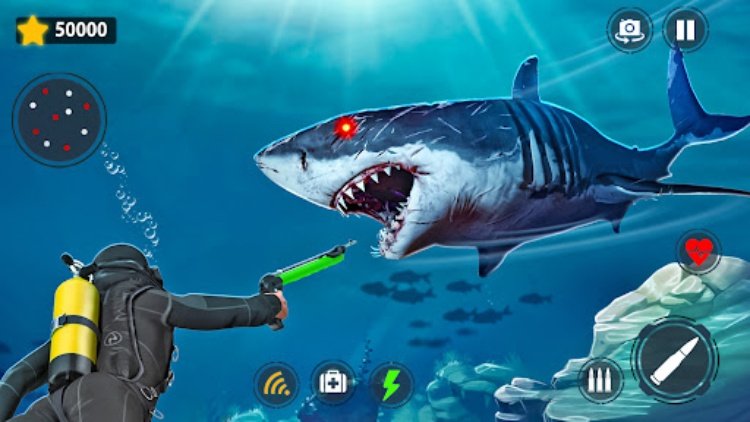 Shark Games & Fish Hunting