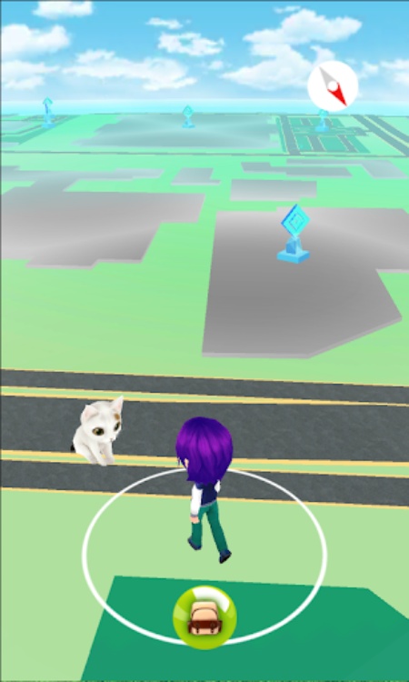 我的猫GO