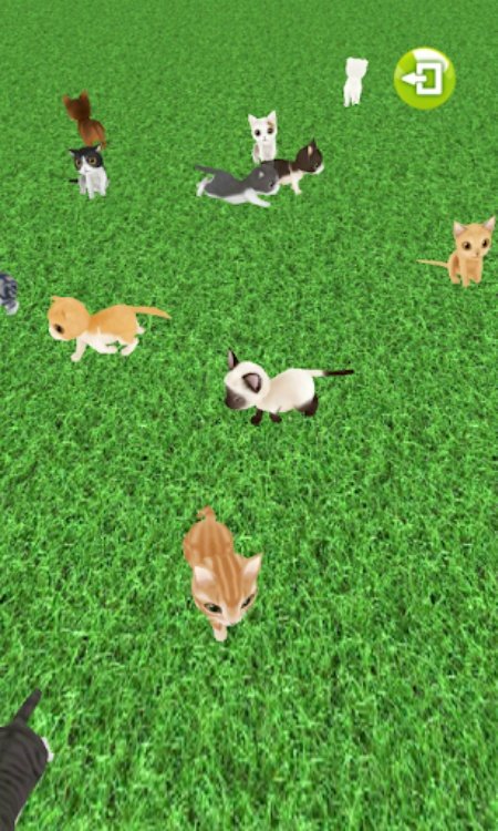 我的猫GO