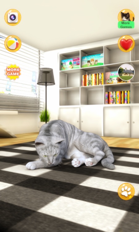 Talking Tabby Cat