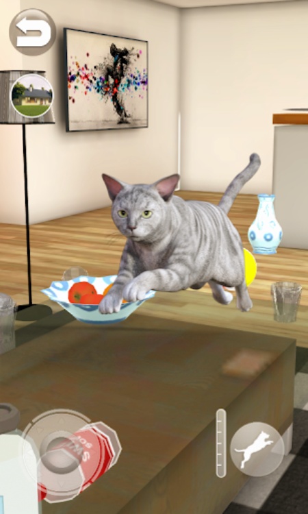 Talking Tabby Cat