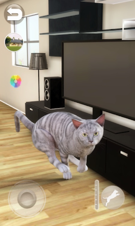 Talking Tabby Cat