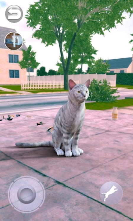 Talking Tabby Cat