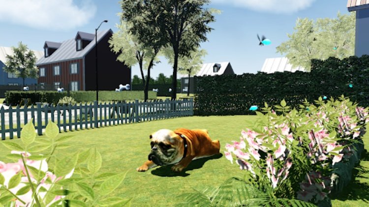 Bull Dog Simulator