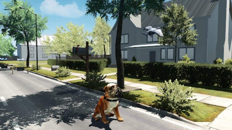 Bull Dog Simulator