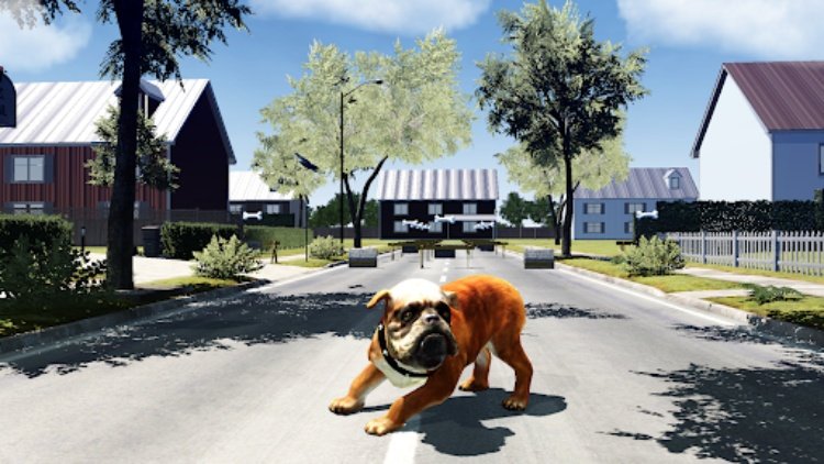 Bull Dog Simulator