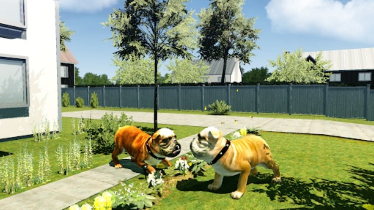 Bull Dog Simulator