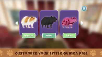 u51e0u5185u4e9au732au6a21u62dfu5668uff1au5ba0u7269u751fu5b58