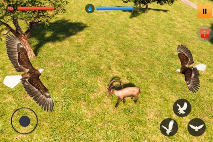 Eagle Simulator Game 3D