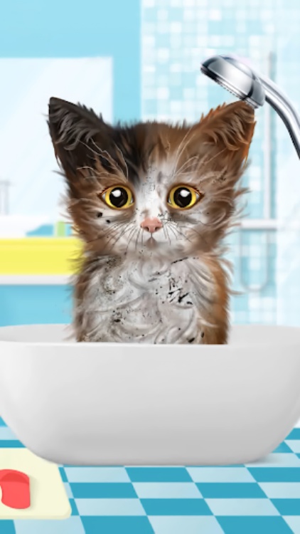 Cat Makeover