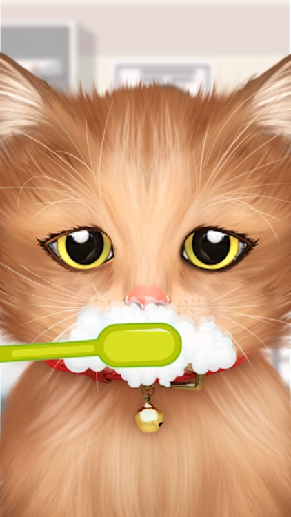 Cat Makeover