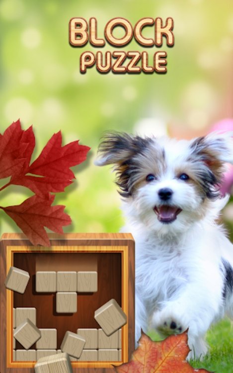 Classic Block Puzzle Wood 1010