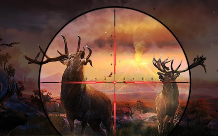 Deer Hunter Wild animal Jungle