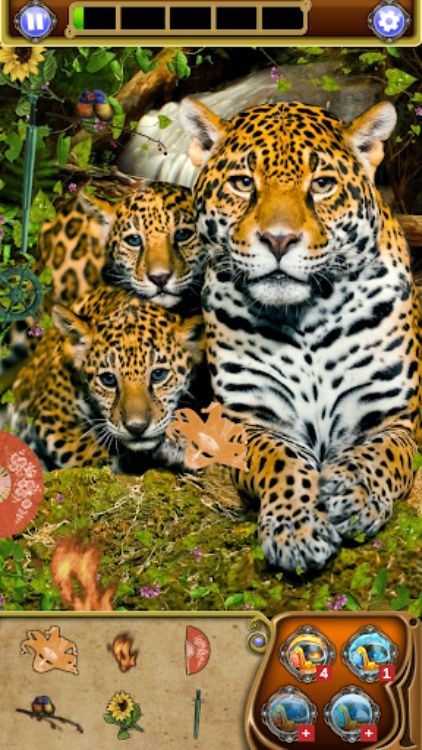 Hidden Object: Animal World