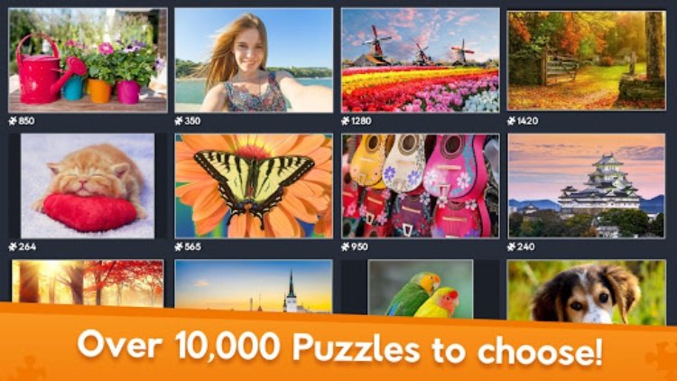 Jigsaw World