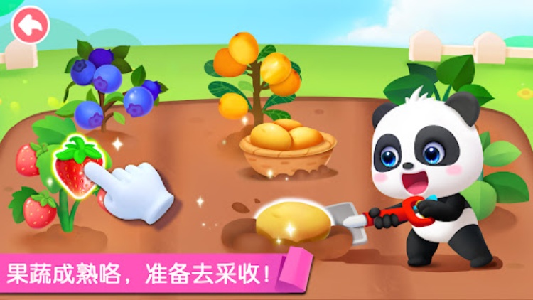 宝宝劳动小能手